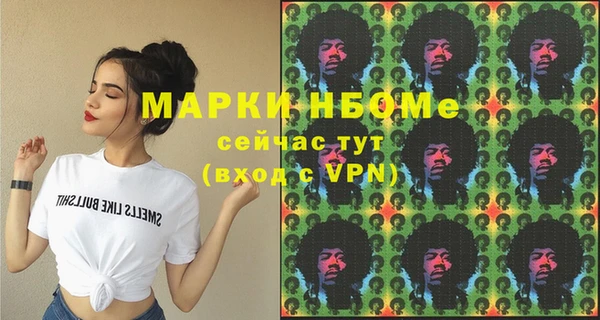 крисы Новокубанск
