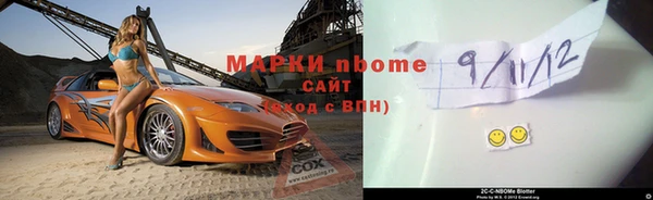 крисы Новокубанск