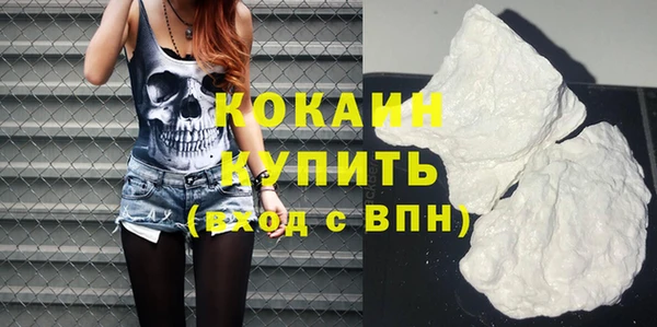 крисы Новокубанск