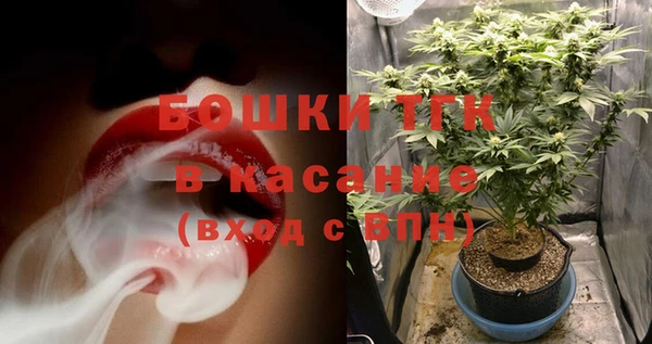 индика Нефтекумск